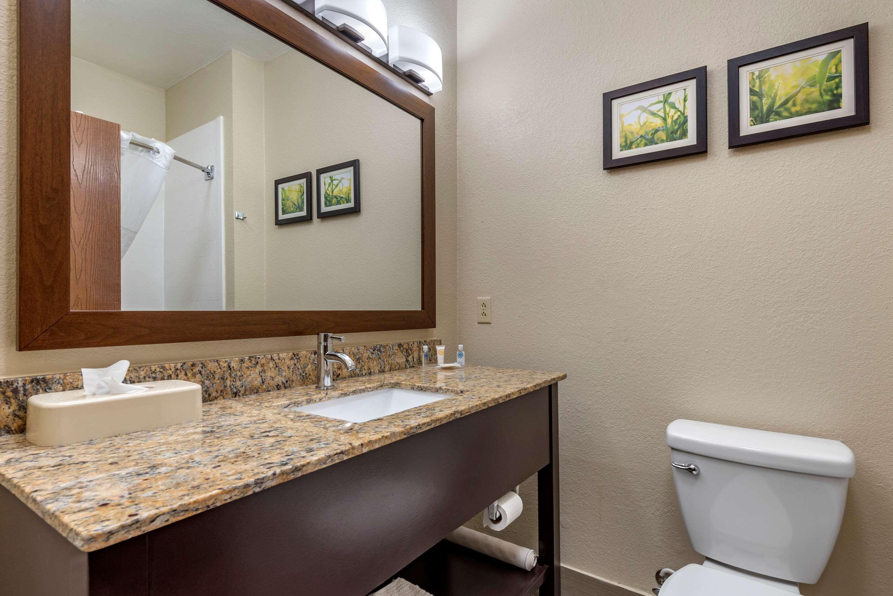 Comfort Suites Auburn Near I-69 Dış mekan fotoğraf